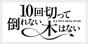 10回切って倒れない木はない