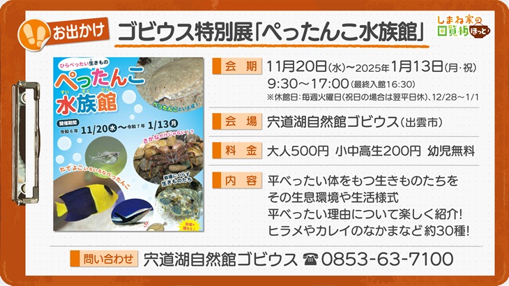 ゴビウス特別展「ぺったんこ水族館」