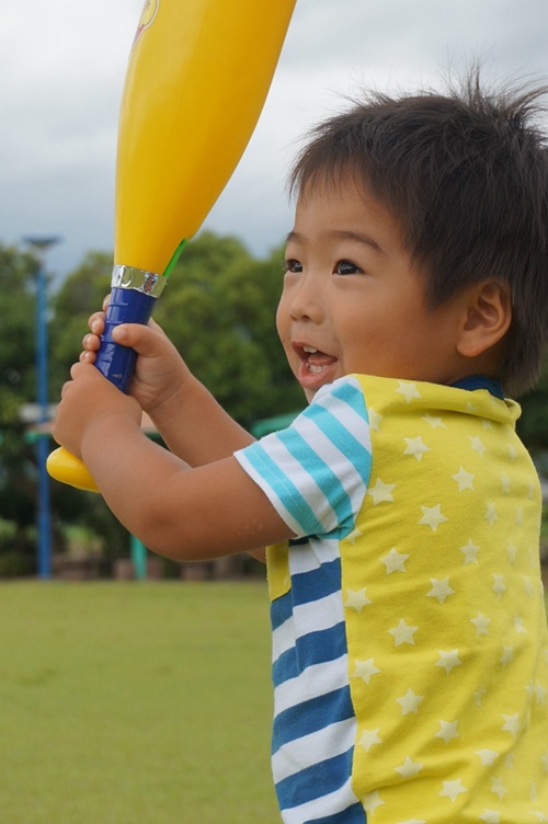 応募サンプル