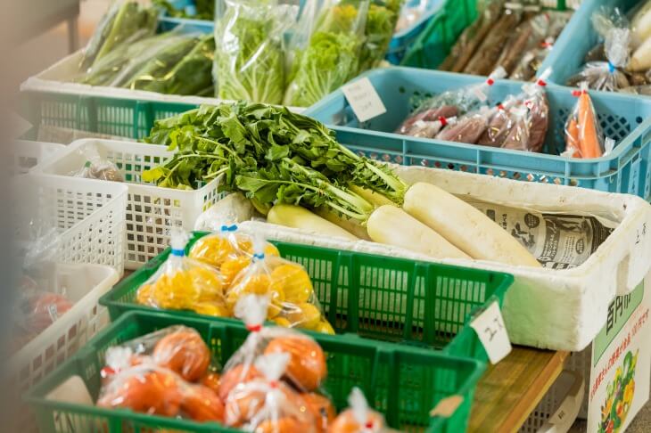 地元野菜写真3